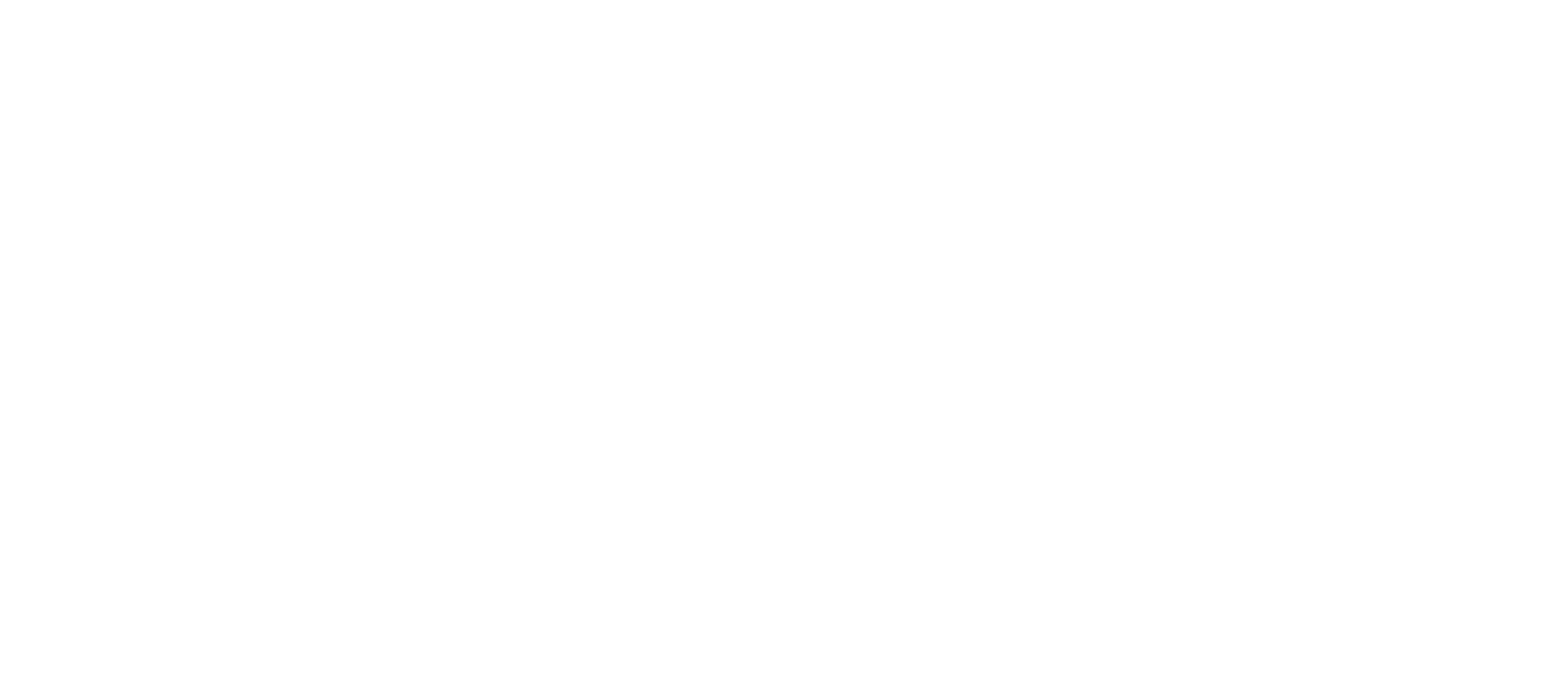 FIS-white-logo